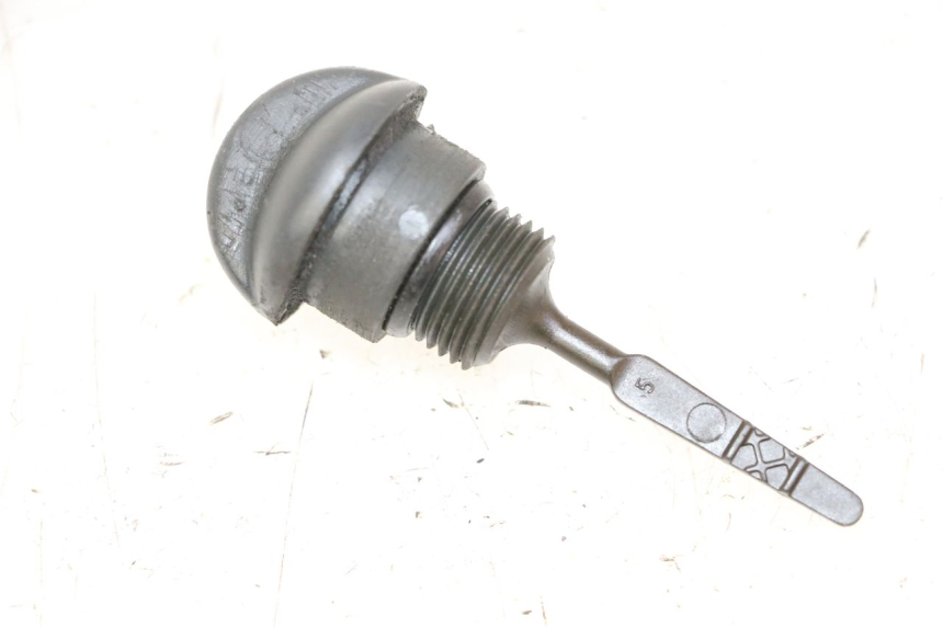 photo de ÖLMESSESTAB MOTOR PIAGGIO MP3 RL 250 (2007 - 2010)