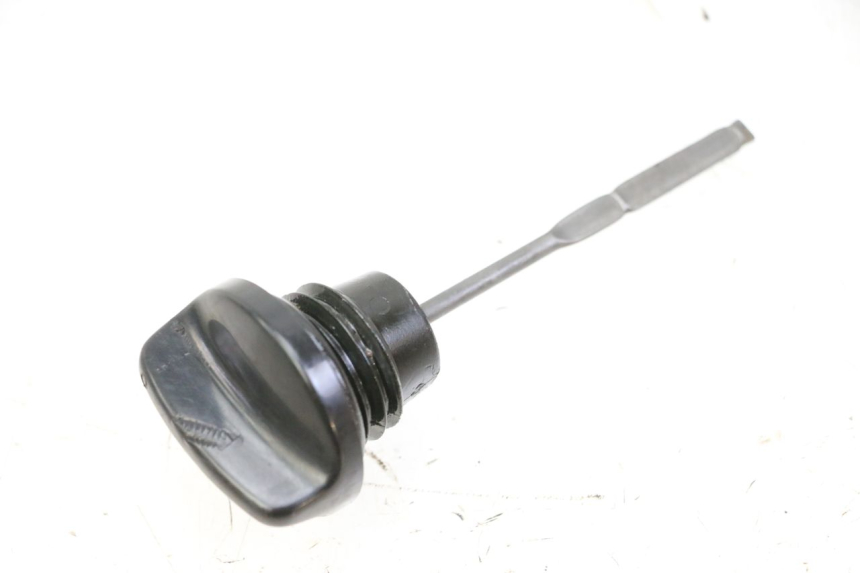 photo de ÖL MOTOR GEBER HONDA NTV DEAUVILLE 650 (2001 - 2006)