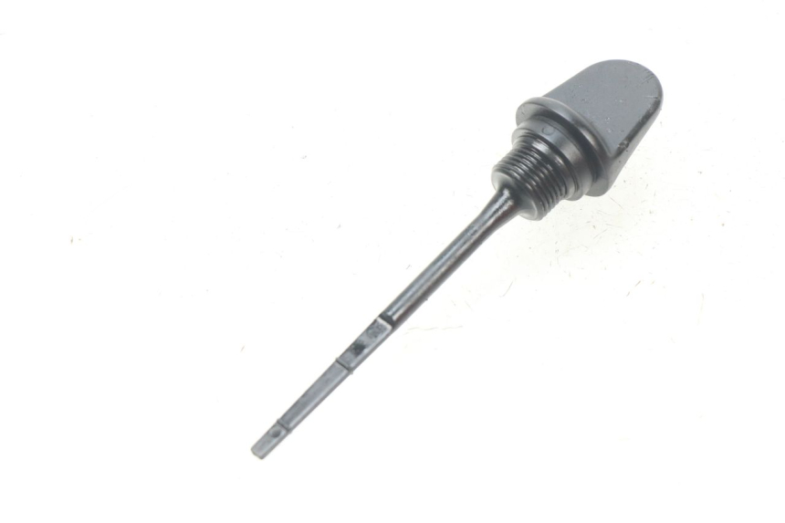 photo de ÖL MOTOR GEBER PIAGGIO BEVERLY 500 (2003 - 2007)