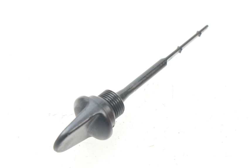 photo de ÖL MOTOR GEBER PIAGGIO BEVERLY 500 (2003 - 2007)