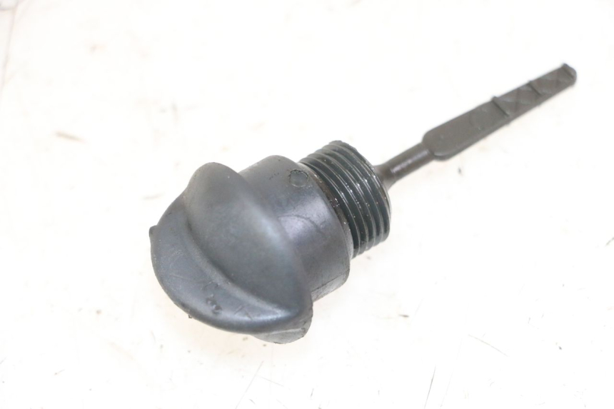 photo de ÖL MOTOR GEBER PIAGGIO VESPA GRANTURISMO 200 (2004 - 2005)