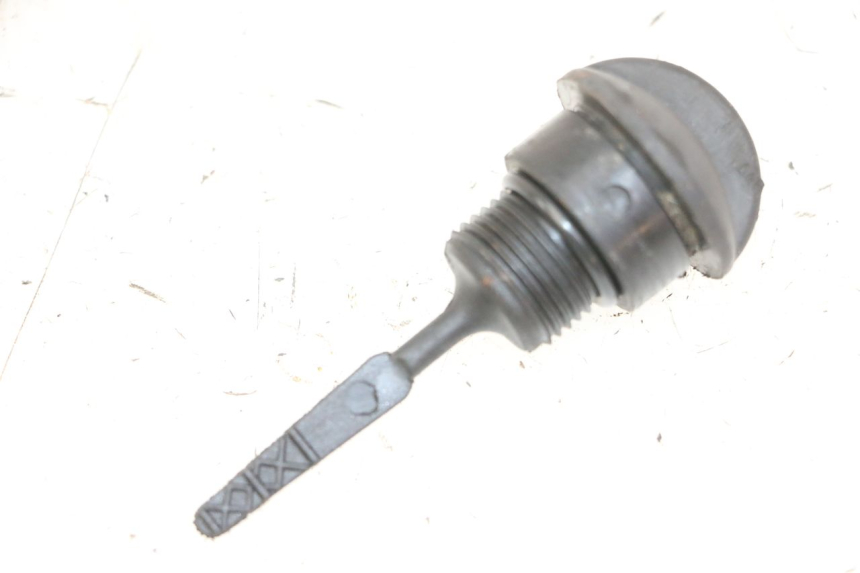 photo de ÖL MOTOR GEBER PIAGGIO VESPA LX 150 (2005 - 2013)