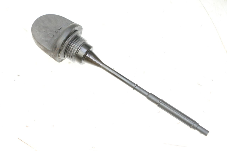 photo de ÖL MOTOR GEBER PEUGEOT SATELIS 125 (2013 - 2018)