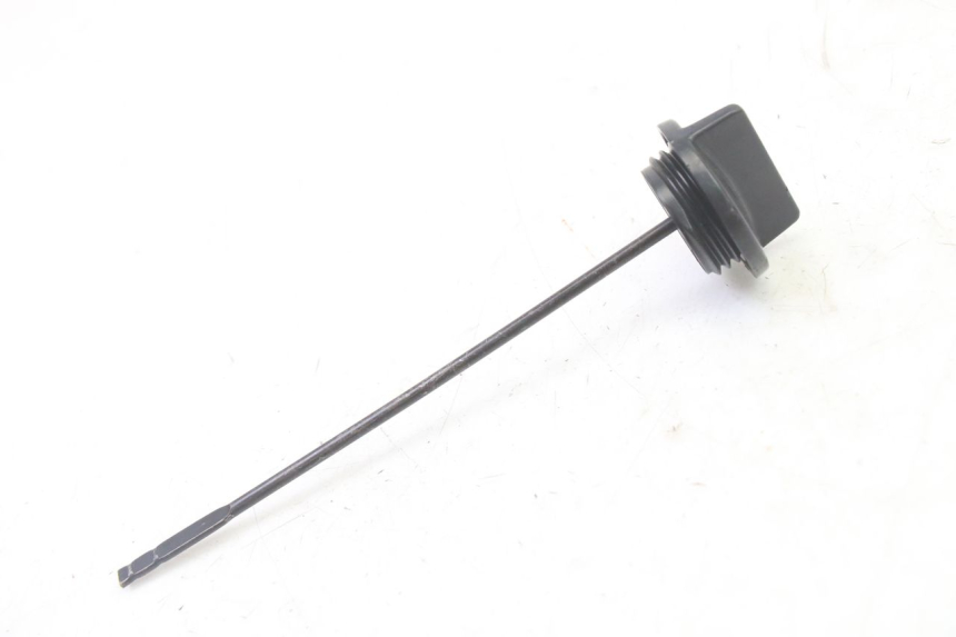 photo de ÖL MOTOR GEBER TRIUMPH SPRINT 900 (1995 - 1998)