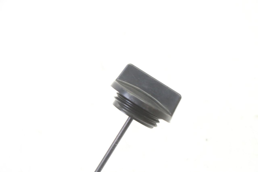 photo de ÖL MOTOR GEBER TRIUMPH SPRINT 900 (1995 - 1998)