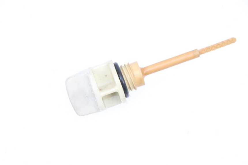 photo de ÖL MOTOR GEBER SYM GTS 250 (2005 - 2008)