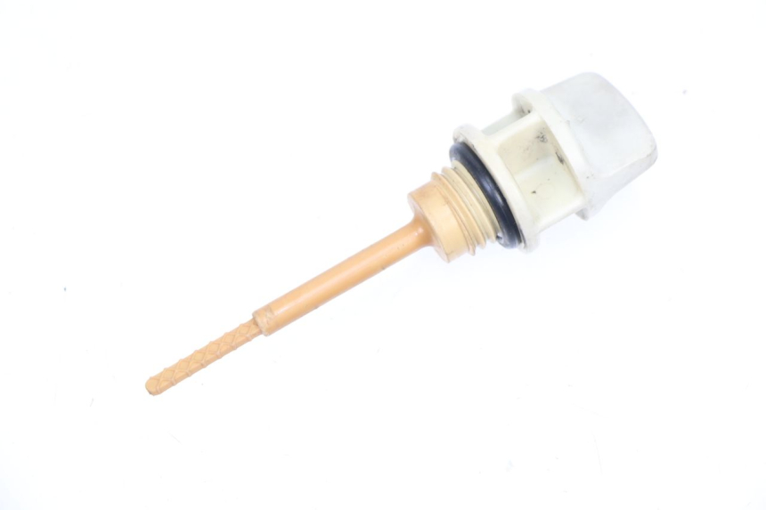 photo de ÖL MOTOR GEBER SYM GTS 250 (2005 - 2008)