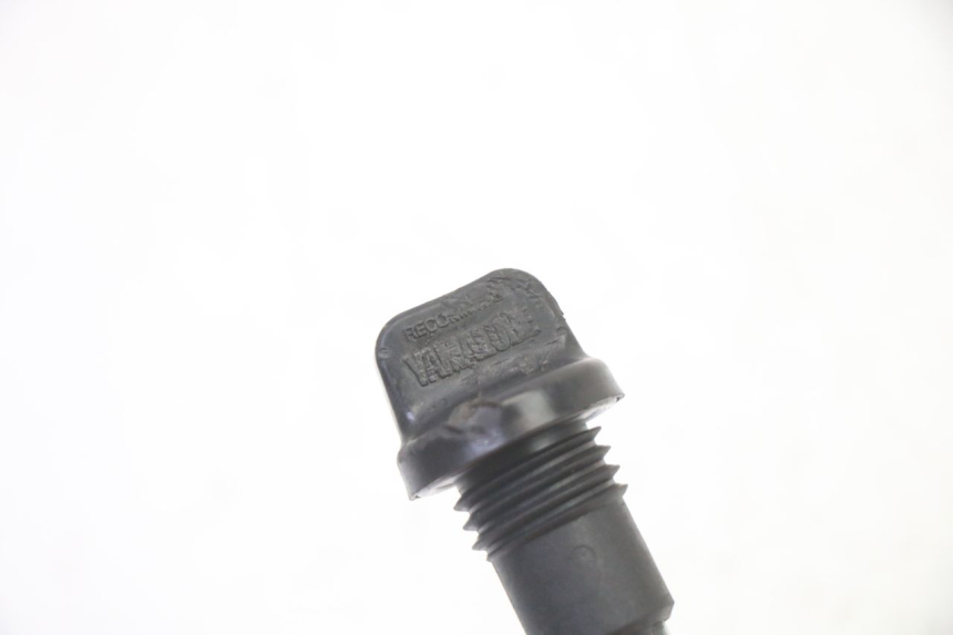 photo de ÖL MOTOR GEBER YAMAHA TDM ABS 900 (2002 - 2014)