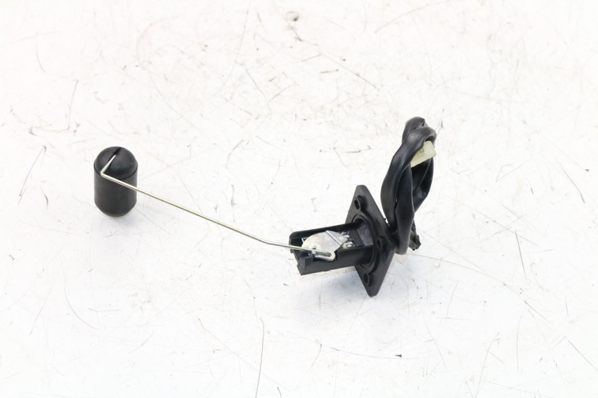 photo de TANKGEBER JM MOTORS OLDIES 4T 50 (2010 - 2020)