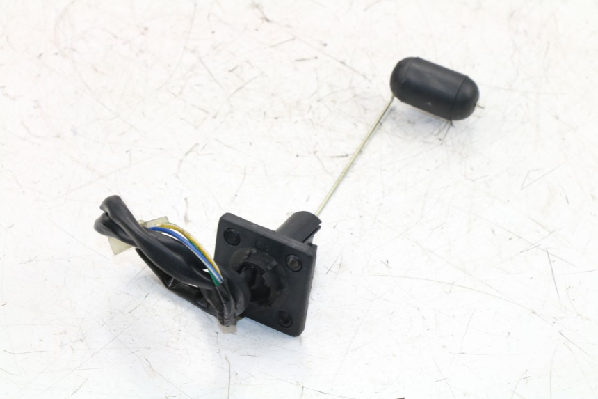 photo de TANKGEBER JM MOTORS OLDIES 4T 50 (2010 - 2020)