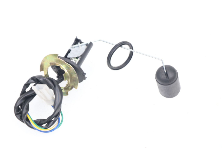 photo de KRAFTSTOFFTANKMESSSTAB LONGJIA DIGITA 4T 50 (2019 - 2022)