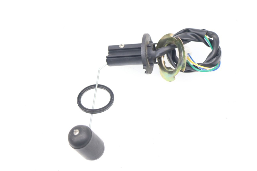 photo de KRAFTSTOFFTANKMESSSTAB LONGJIA DIGITA 4T 50 (2019 - 2022)