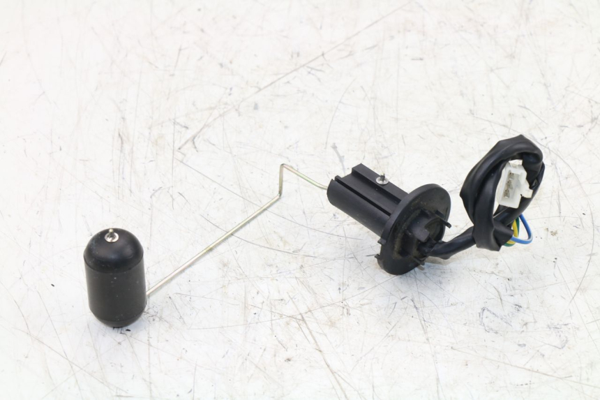 photo de TANKGEBER TNT MOTOR ROMA 10' 2T 50 (2011 - 2018)