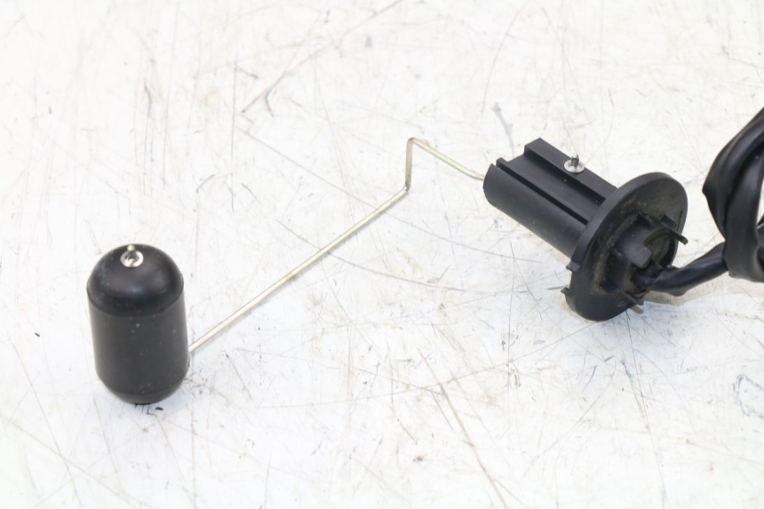 photo de TANKGEBER TNT MOTOR ROMA 10' 2T 50 (2011 - 2018)