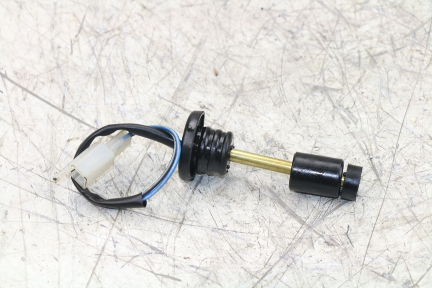 photo de ÖLSTANDSANZEIGE TNT MOTOR ROMA 10' 2T 50 (2011 - 2018)