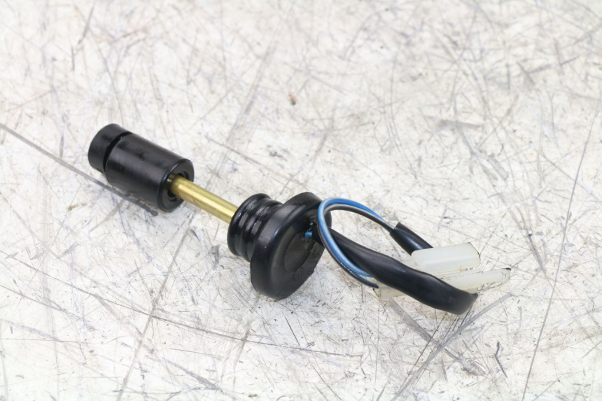 photo de ÖLSTANDSANZEIGE TNT MOTOR ROMA 10' 2T 50 (2011 - 2018)