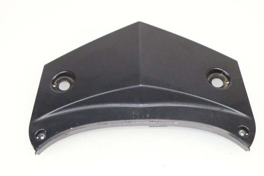 photo de VERKLEIDUNG HINTEN MITTE APRILIA RS 50 (2006 - 2010)
