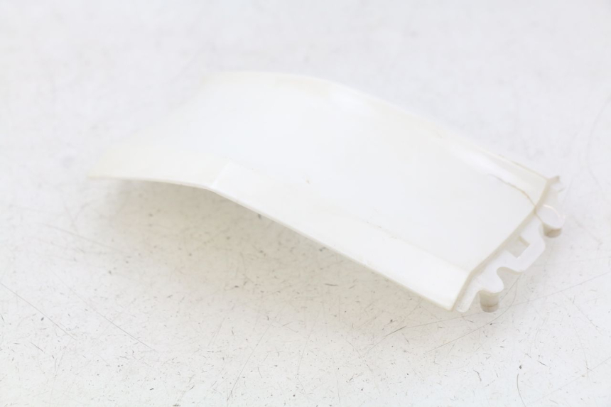 photo de VERKLEIDUNG HINTEN MITTE TNT MOTOR BOSTON 4T 50 (2018 - 2025)