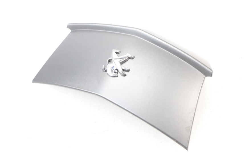 photo de HECKVERKLEIDUNG VERBINDUNG PEUGEOT CITYSTAR 50 (2013 - 2017)