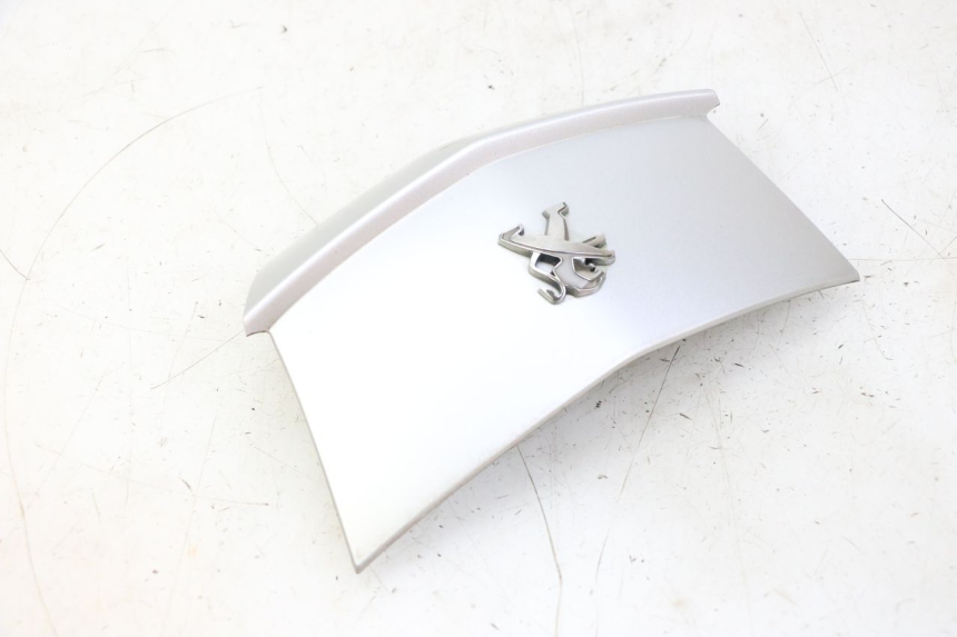 photo de HECKVERKLEIDUNG VERBINDUNG PEUGEOT CITYSTAR 50 (2013 - 2017)