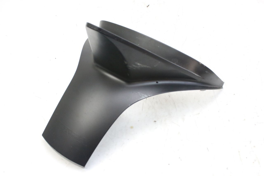 photo de HECKVERKLEIDUNG VERBINDUNG HONDA FES S-WING SWING ABS 125 (2007 - 2015)