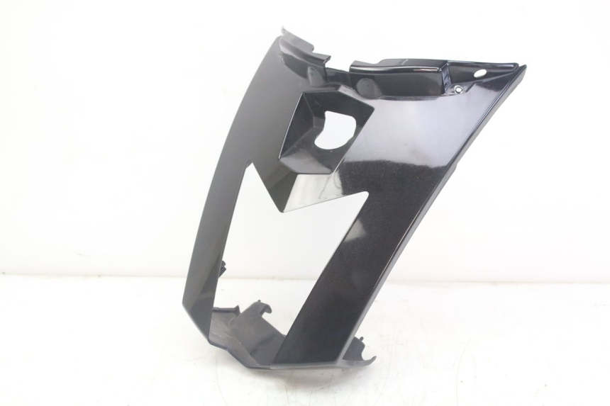 photo de VERKLEIDUNG HINTEN MITTE PEUGEOT GEOPOLIS RS 125 (2007 - 2009)