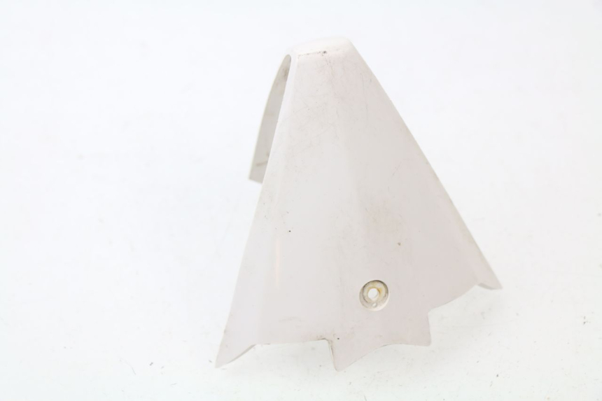 photo de VERKLEIDUNG HINTEN MITTE PEUGEOT JET FORCE CARBU 50 (2003 - 2016)