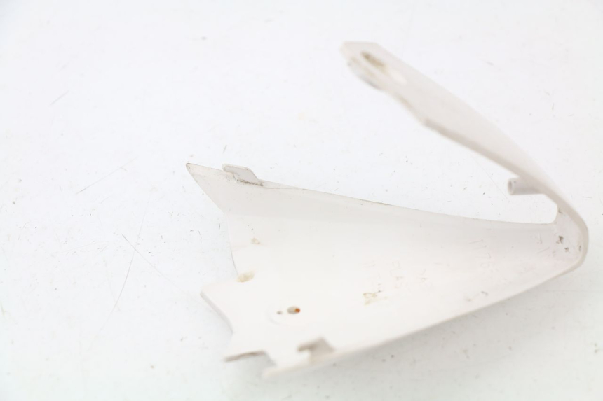 photo de VERKLEIDUNG HINTEN MITTE PEUGEOT JET FORCE CARBU 50 (2003 - 2016)