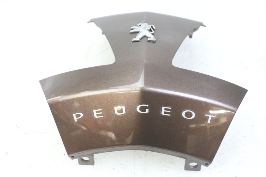 photo de VERKLEIDUNG HINTEN MITTE PEUGEOT VIVACITY 125 (2010 - 2017)