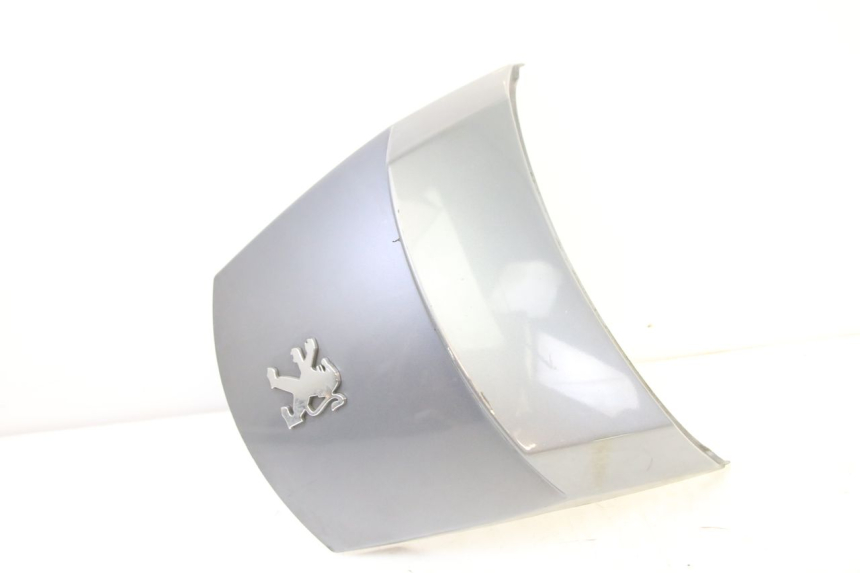 photo de VERKLEIDUNG HINTEN MITTE PEUGEOT SATELIS 250 (2006 - 2012)