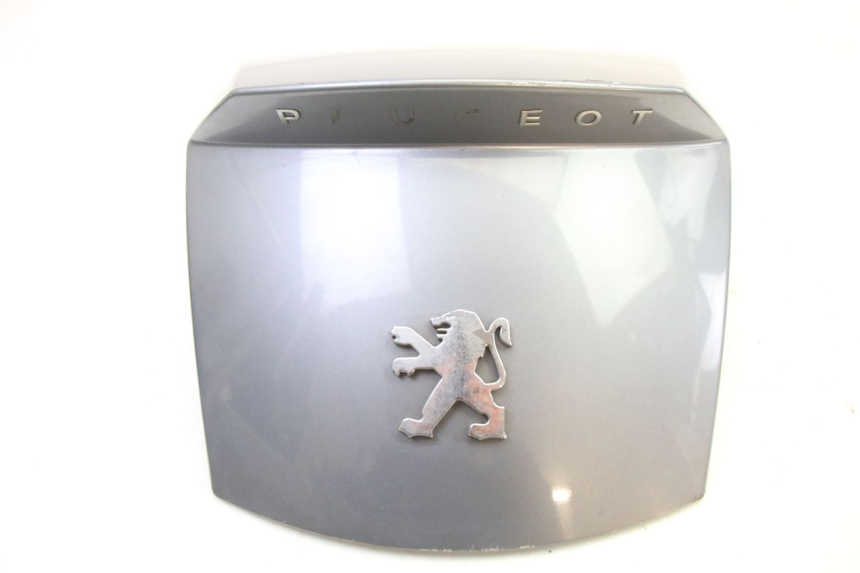 photo de VERKLEIDUNG HINTEN MITTE PEUGEOT SATELIS 250 (2006 - 2012)
