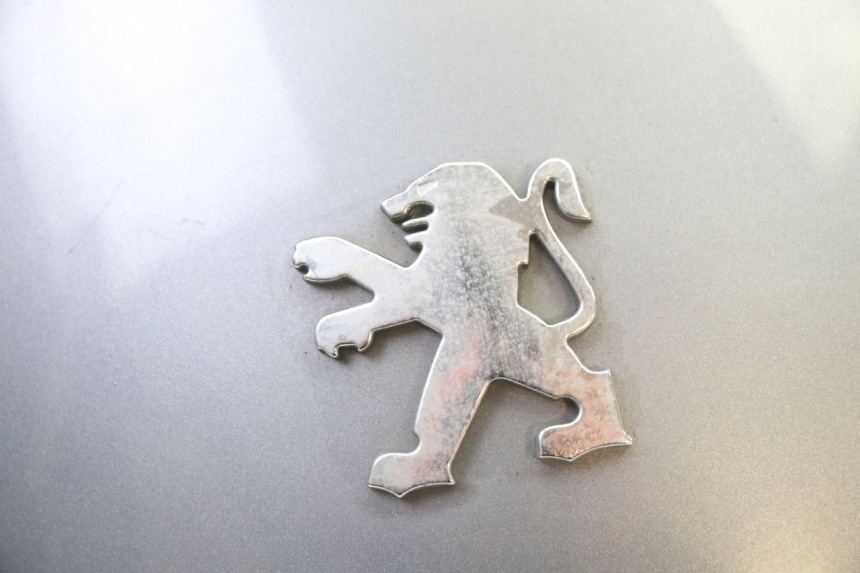 photo de VERKLEIDUNG HINTEN MITTE PEUGEOT SATELIS 250 (2006 - 2012)