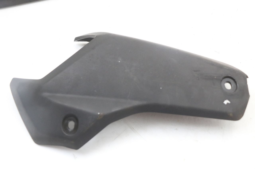 photo de VERKLEIDUNG HINTEN MITTE PEUGEOT STREETZONE 2T 50 (2014 - 2019)