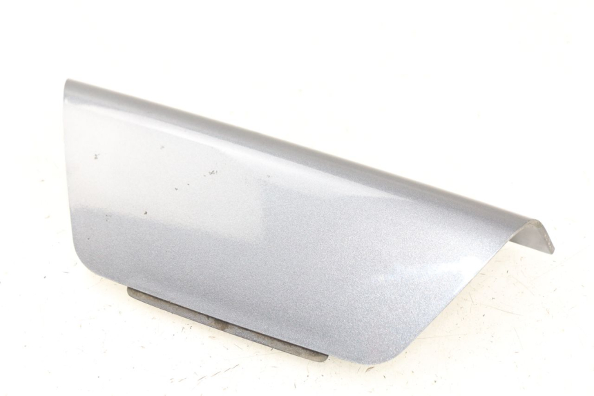 photo de VERKLEIDUNG HINTEN MITTE OBEN DAELIM S2 125 (2006 - 2007)
