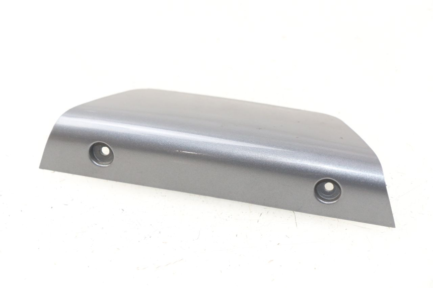 photo de VERKLEIDUNG HINTEN MITTE OBEN DAELIM S2 125 (2006 - 2007)