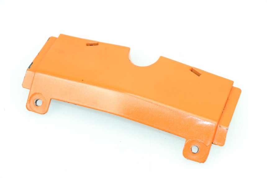 photo de VERKLEIDUNG HINTEN MITTE OBEN RIEJU RS3 50 (2010 - 2018)