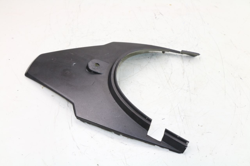 photo de VERKLEIDUNG HINTEN MITTE OBEN ZNEN SPEEDER 50 (2012 - 2016)