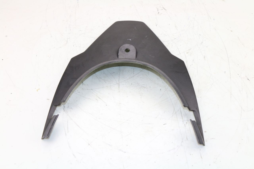 photo de VERKLEIDUNG HINTEN MITTE OBEN ZNEN SPEEDER 50 (2012 - 2016)