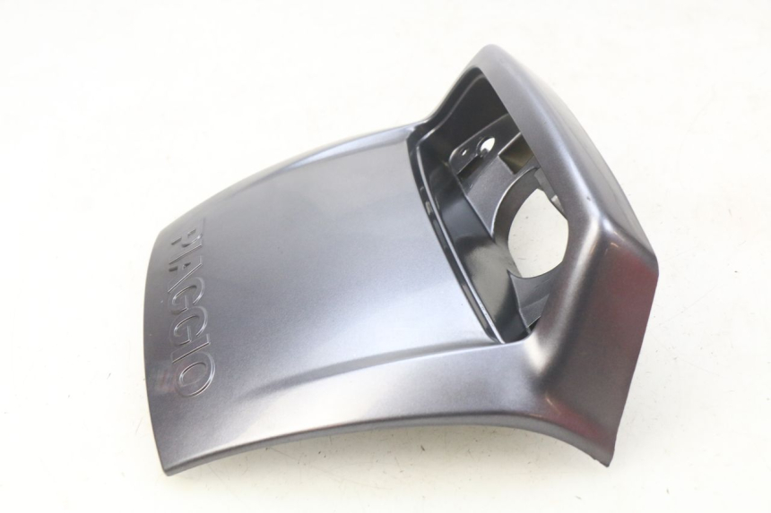 photo de HECKVERKLEIDUNG VERBINDUNG PIAGGIO X9 EVOLUTION 125 (2003 - 2007)