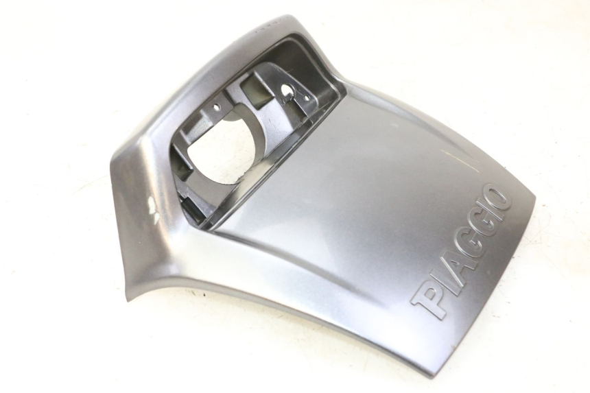 photo de HECKVERKLEIDUNG VERBINDUNG PIAGGIO X9 EVOLUTION 125 (2003 - 2007)