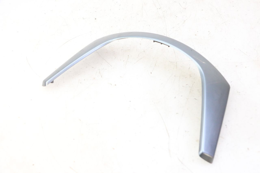 photo de FRONTVERKLEIDUNG MITTE DAELIM HISTORY 125 (2001 - 2002)