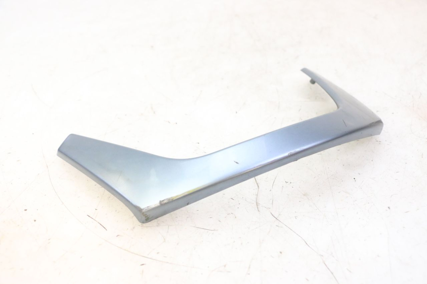 photo de FRONTVERKLEIDUNG MITTE DAELIM HISTORY 125 (2001 - 2002)