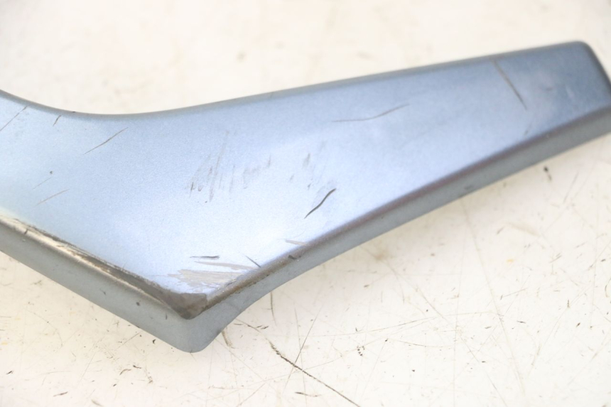 photo de FRONTVERKLEIDUNG MITTE DAELIM HISTORY 125 (2001 - 2002)