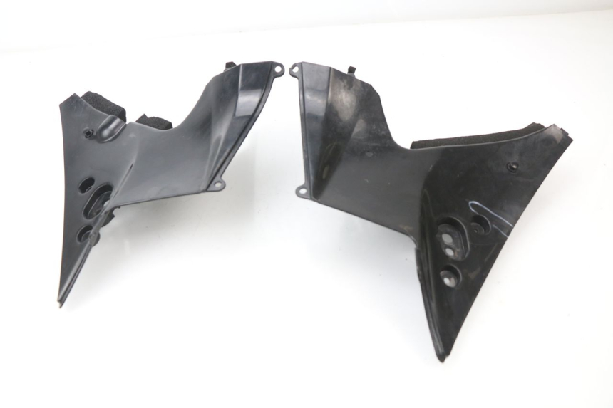 photo de VERKLEIDUNG VORNE MITTE HONDA CBR 929 RR FIREBLADE 900 (2000 - 2001)