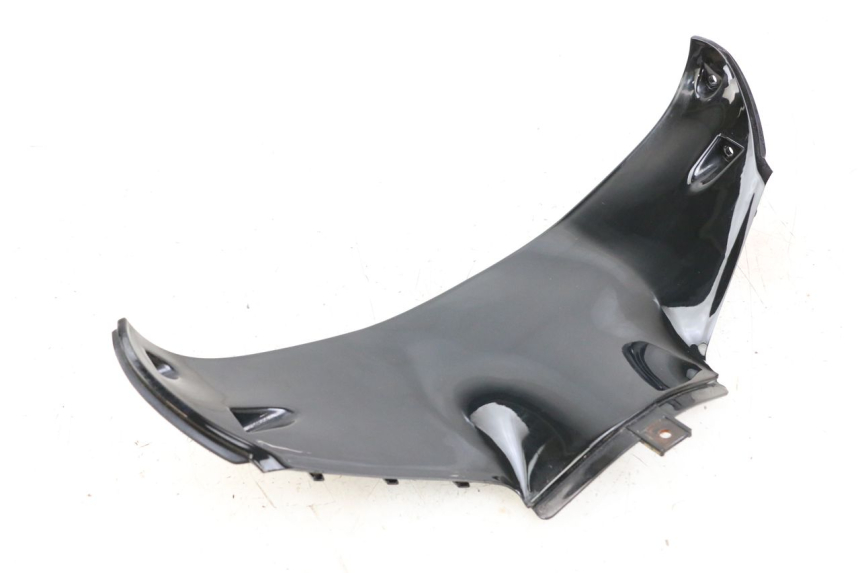 photo de VERKLEIDUNG VORNE MITTE HYOSUNG GTR 125 (2006 - 2008)