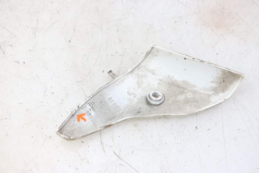 photo de VERKLEIDUNG VORNE MITTE PIAGGIO LXV 4T 50 (2009 - 2013)