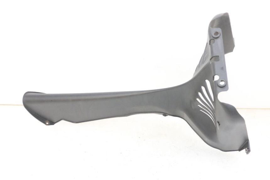 photo de VERKLEIDUNG VORNE MITTE PIAGGIO MP3 RL 250 (2007 - 2010) - Alternative Perspektive