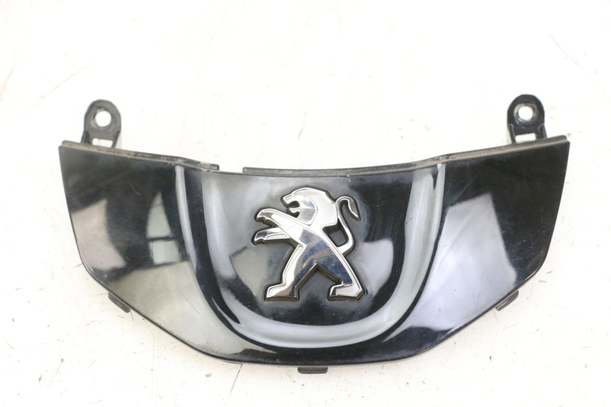 photo de VERKLEIDUNG VORNE MITTE PEUGEOT TWEET PRO CARGO 50 (2018 - 2020) - Hauptansicht