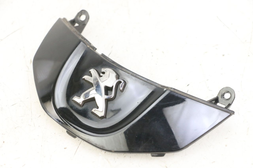 photo de VERKLEIDUNG VORNE MITTE PEUGEOT TWEET PRO CARGO 50 (2018 - 2020) - Alternative Perspektive