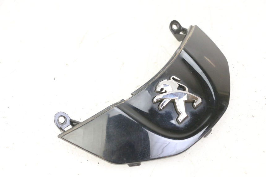 photo de VERKLEIDUNG VORNE MITTE PEUGEOT TWEET PRO CARGO 50 (2018 - 2020) - Technische Nahaufnahme